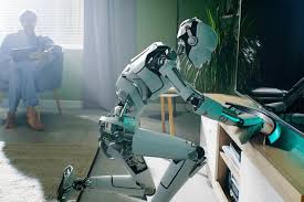 Gelecekte Evimizde Olacak Robotlar